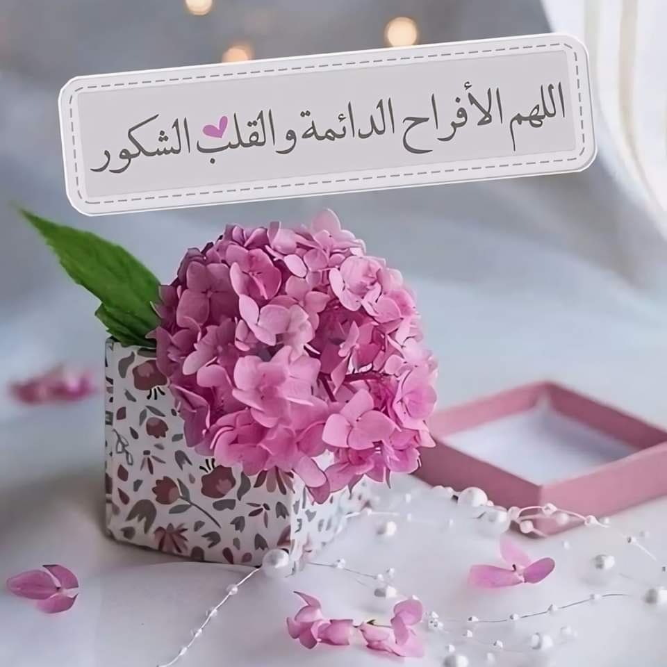 ام عبدالرحمن التبوكي tweet media