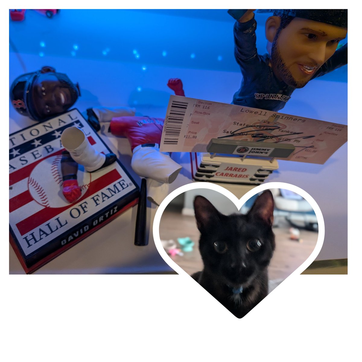 Soxchick04's tweet photo. Let me tell you how Remy feels about the Redsox he jumped on the TV stand while Toronto was scoring and broke Ortiz. Thankful @Jared_Carrabis survived. https://t.co/PmY0H4RMTM
