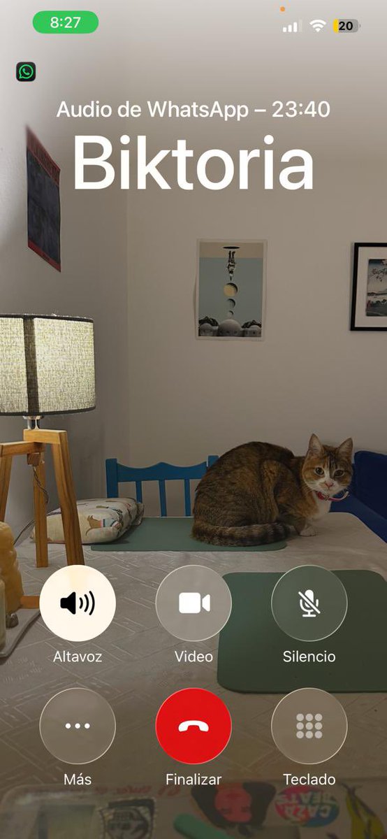 tengo una foto que me había olvidado que la había puesto y cada vez que hablo por tel a la gente le aparece esto (mi gata mirándote) y me parece mágico