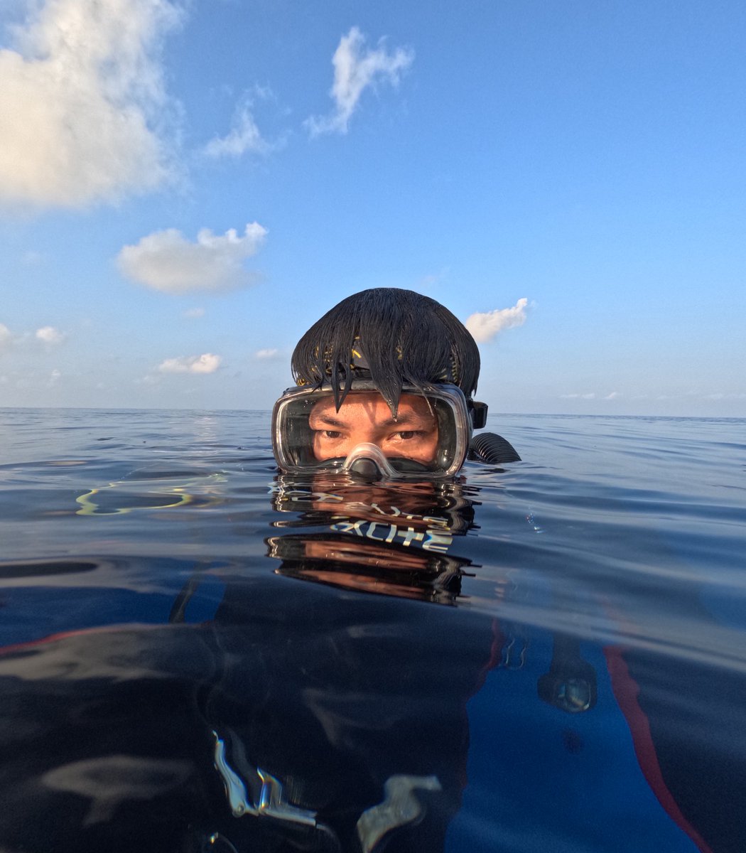 yeehooooo's tweet photo. Tubbataha Reefs Natural Park 
World Heritage Site 🪸🤿🧜🏻

One for the Books ✔️ https://t.co/oBDMnsFDt3