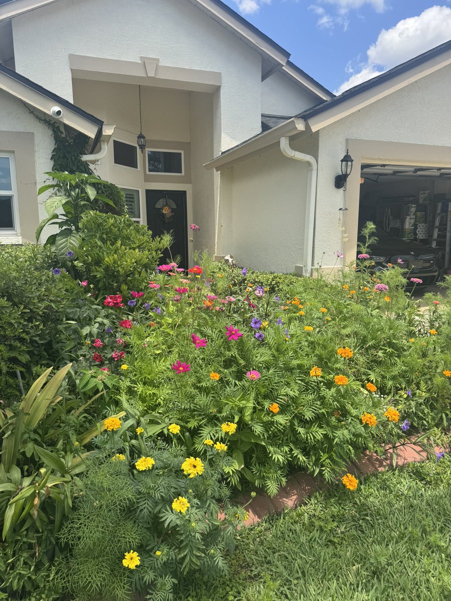RRustogi's tweet photo. My flower power 
Crazy cosmos, Merry marigolds and zealous zinnias https://t.co/gKm6sKC722