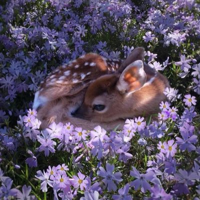 unrenderedbones's tweet image. #NewProfilePic