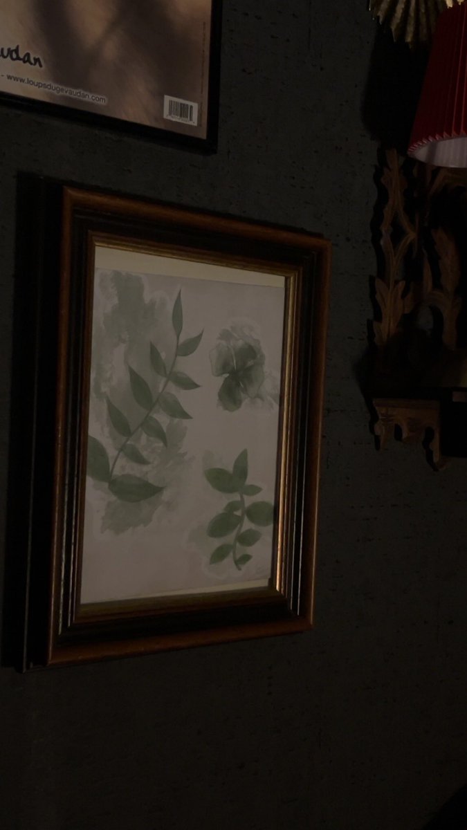 EnoraBelmont's tweet image. Just put some new frame with my art in my home ✨❤️ 
Art need to be everywhere ✨

#art #artist #frame #decoration #illustration