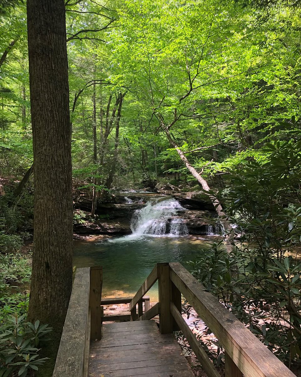 WV State Parks tweet media