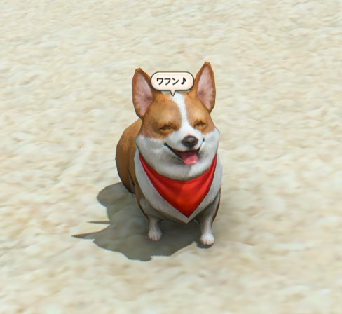 ねてる tweet media