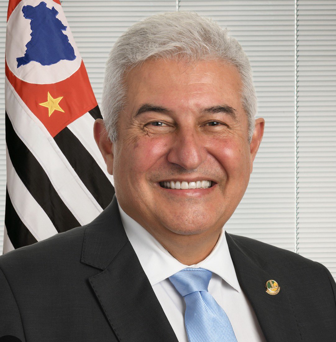 Fernanda tweet media