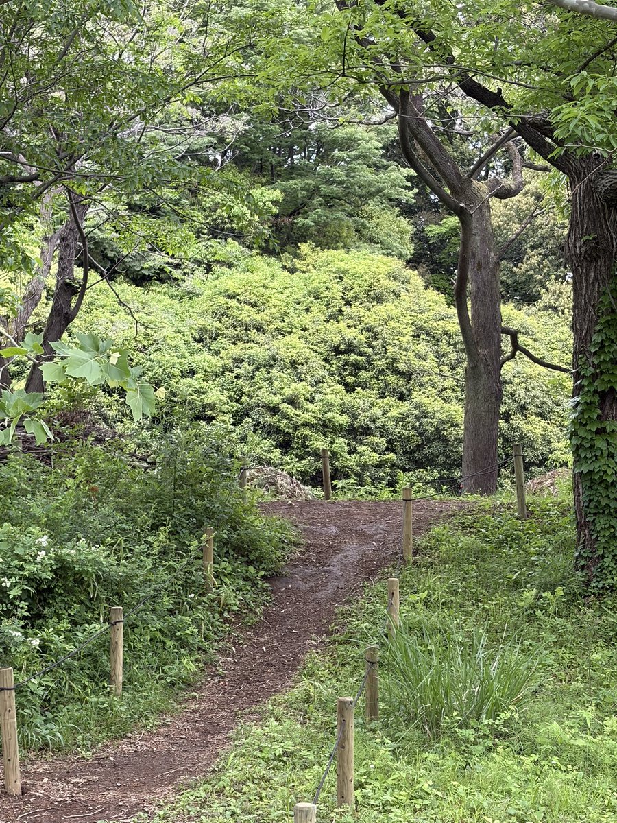 オフペン tweet media