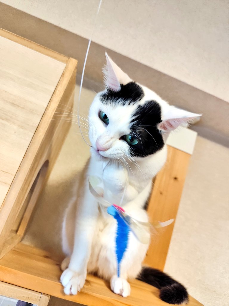 おはべこ氏
朝から元気☺️