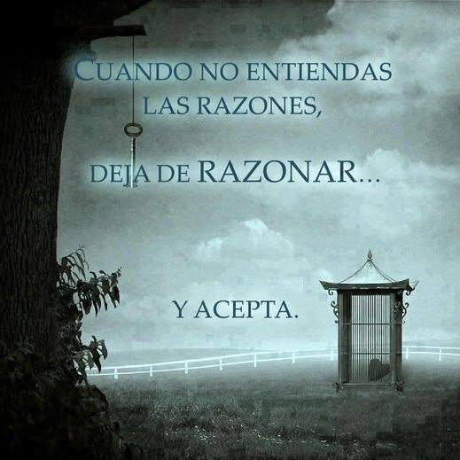 Ricardo Chávez Bruce (@rivialma) on Twitter photo 