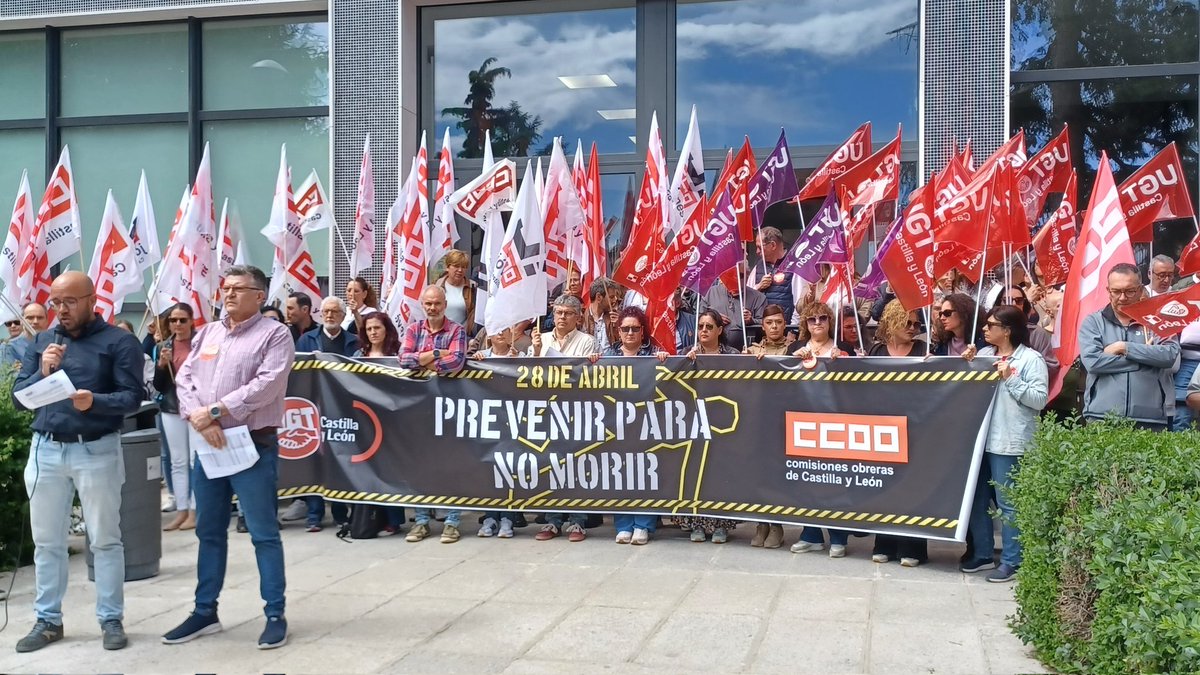 CCOOÁvila tweet media