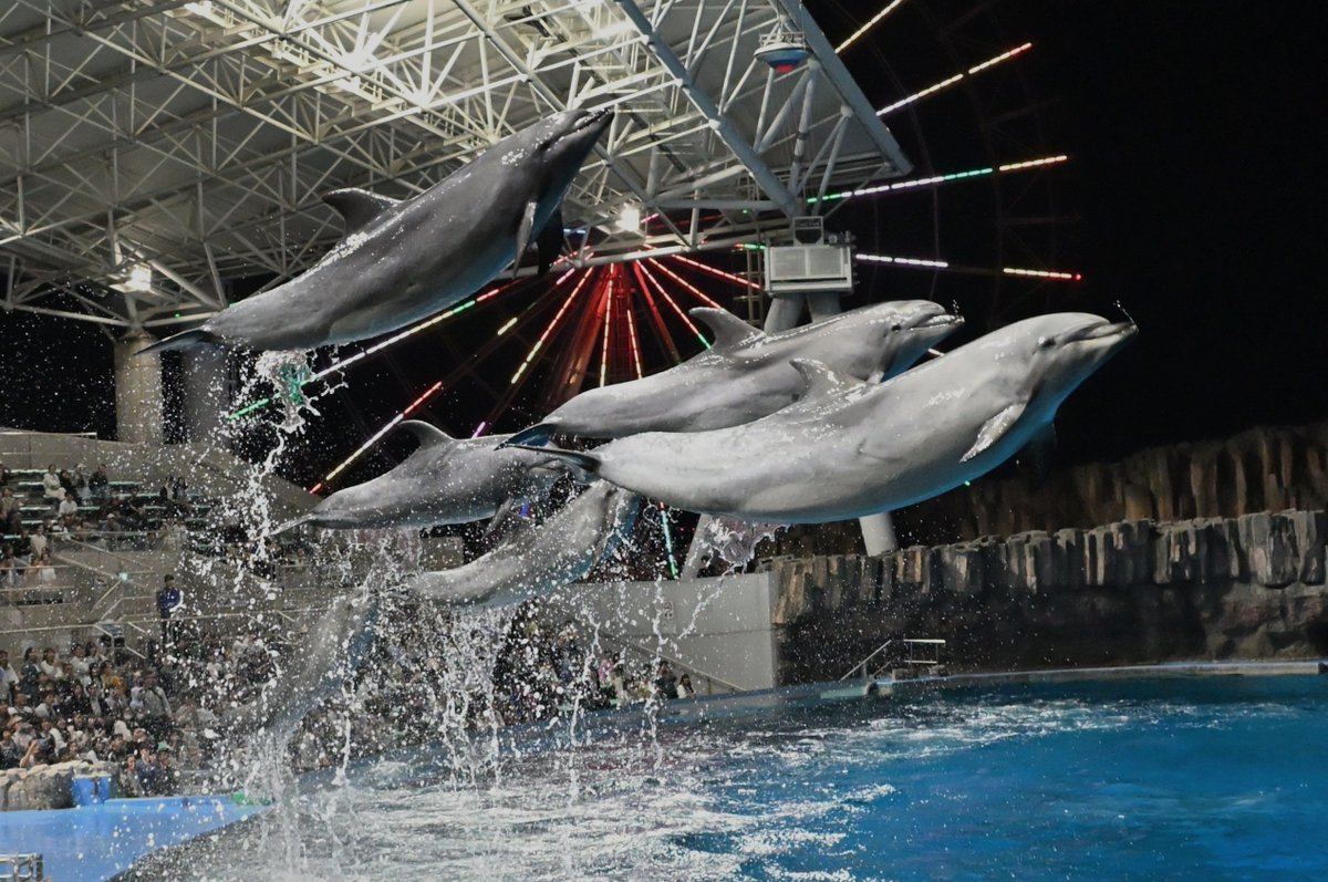 名古屋港水族館 tweet media