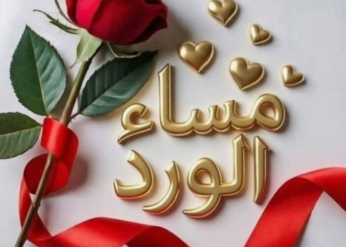 قمرأ🌙🌹 tweet media