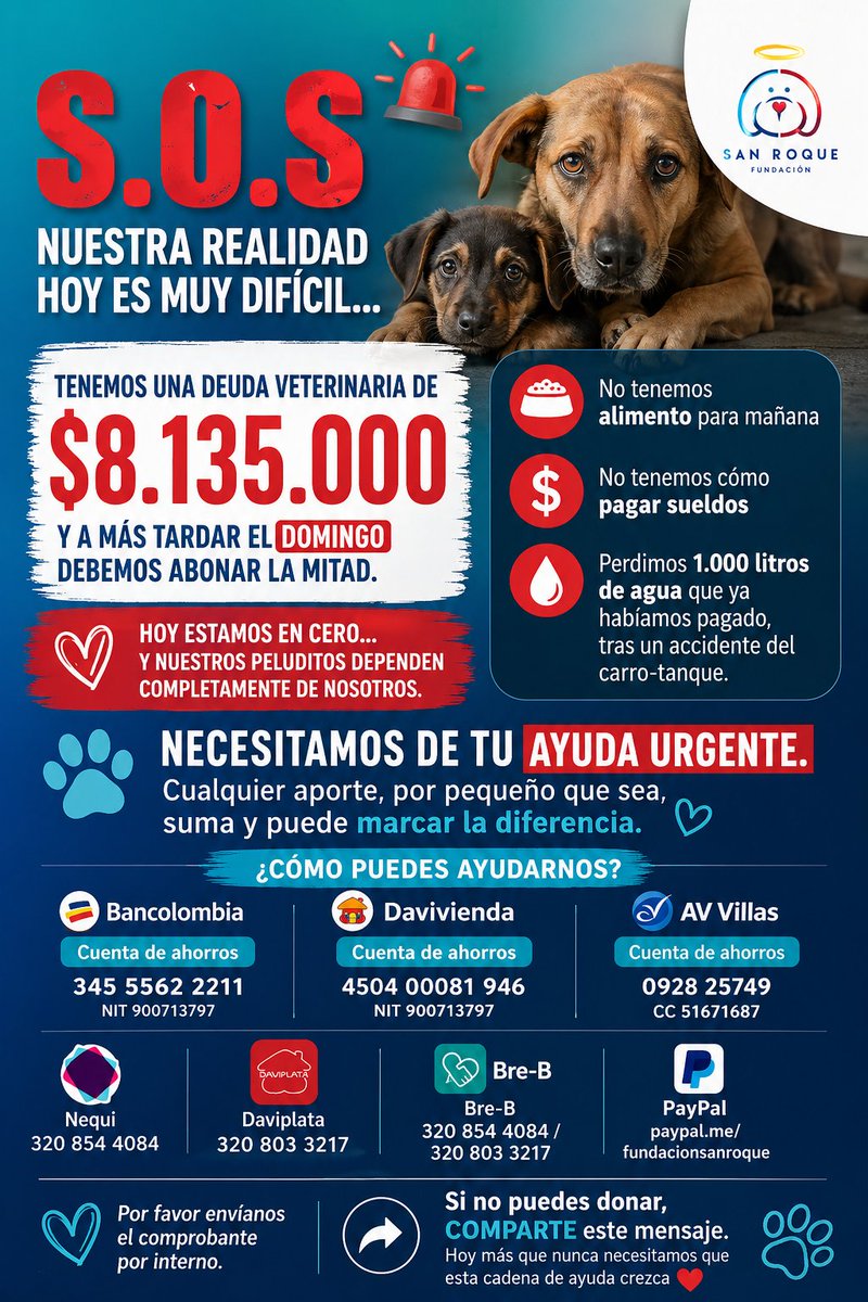 Fundación San Roque tweet media