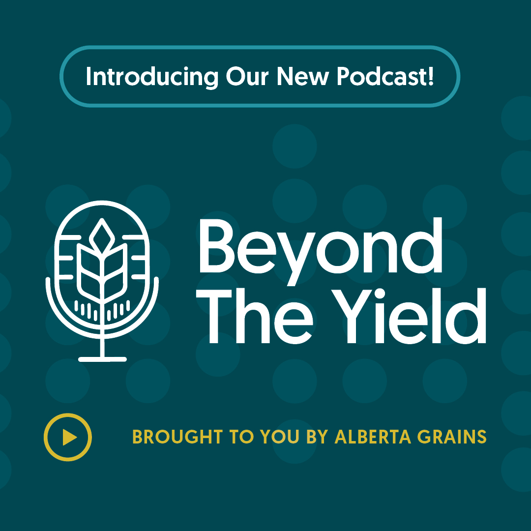 AlbertaGrains's tweet photo. Coming soon.
Beyond the Yield is Alberta Grains' new podcast, bringing you real conversations on all the things shaping your farm.
Stay tuned for our first episode dropping in May!
#BeyondTheYield #AG #westcdnag #abag #agpodcast https://t.co/0p58ew7JWO