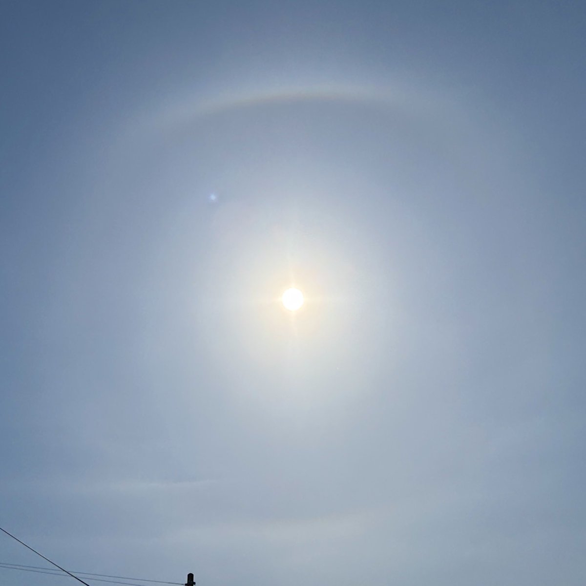 しぶざる🐒 tweet media