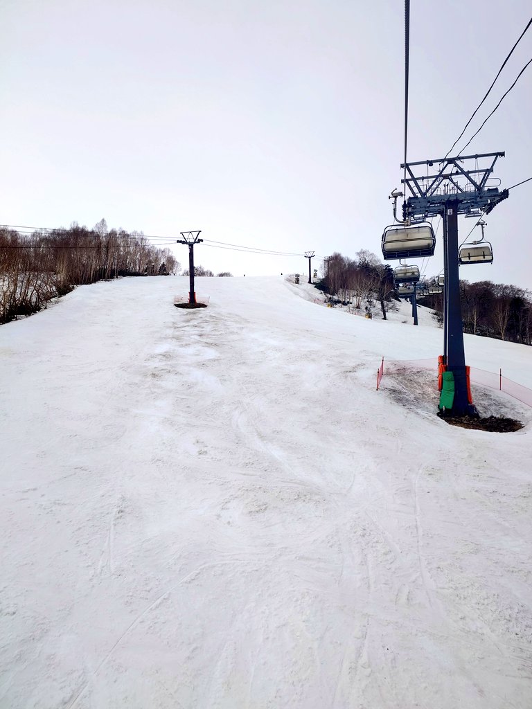 手抜き 42日目 tweet media