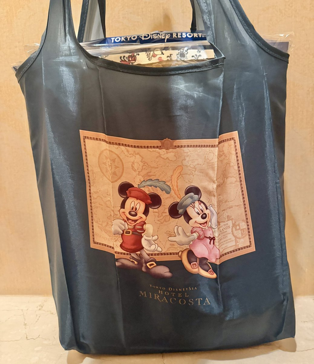 無事ゲット🥰 
ミッキランジェロ全然空いてたから
そんな急がなくても良かったな笑
収納ケースはエコバッグから気持ちはみ出るぐらいで想像してたよりも大きい！