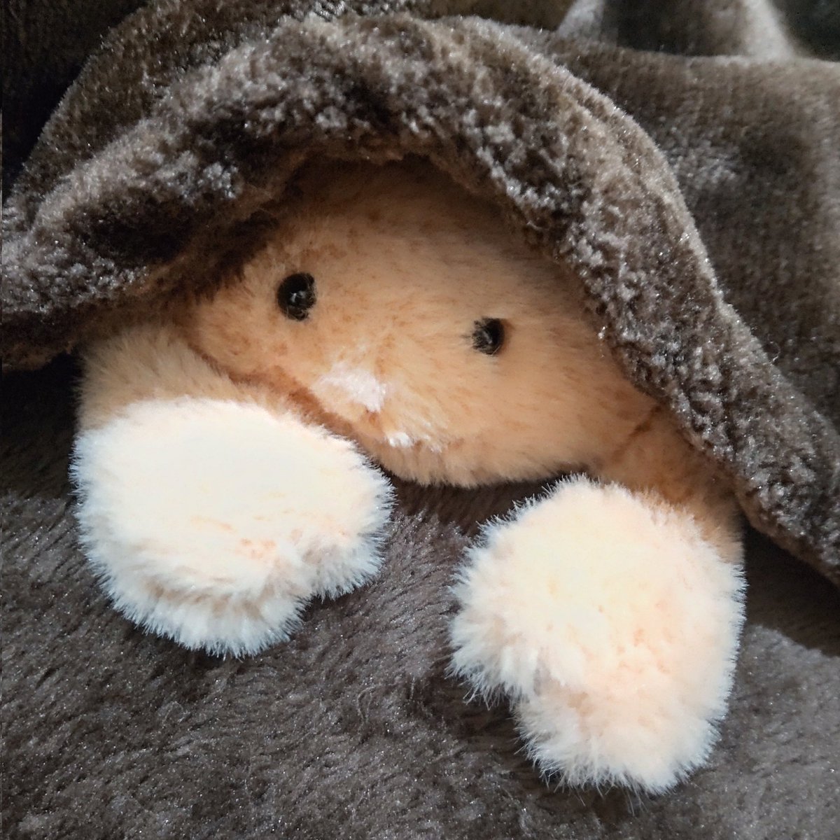 fuwatonemu's tweet photo. 最近また忙しすぎて思うようにカニ活出来てないなぁ(ヽ´ω`)
ごめんね、カニちゃん…
落ち着いたらどこか行こうね https://t.co/2RRxxkBWsx