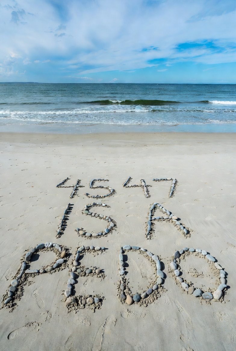 Tim Hannan tweet media