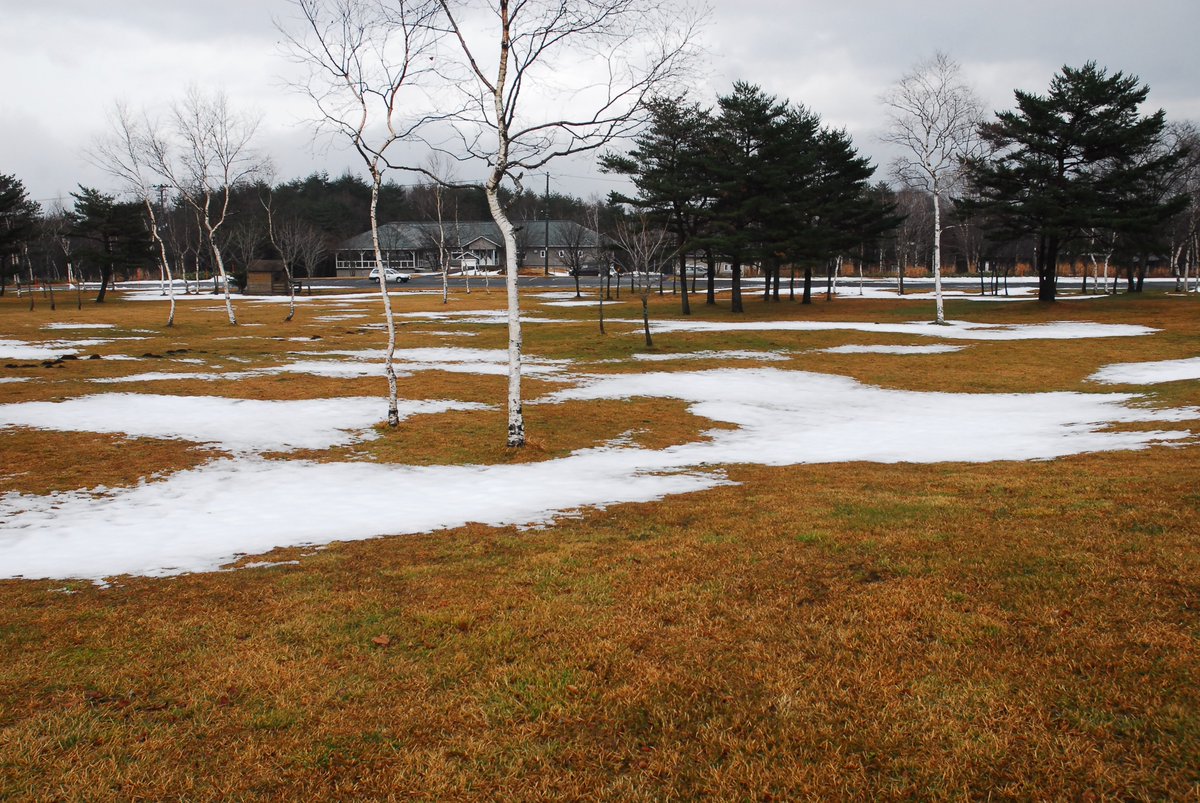 33miura's tweet image. 八幡平
 
#Cameras
#Leica
#NIKON