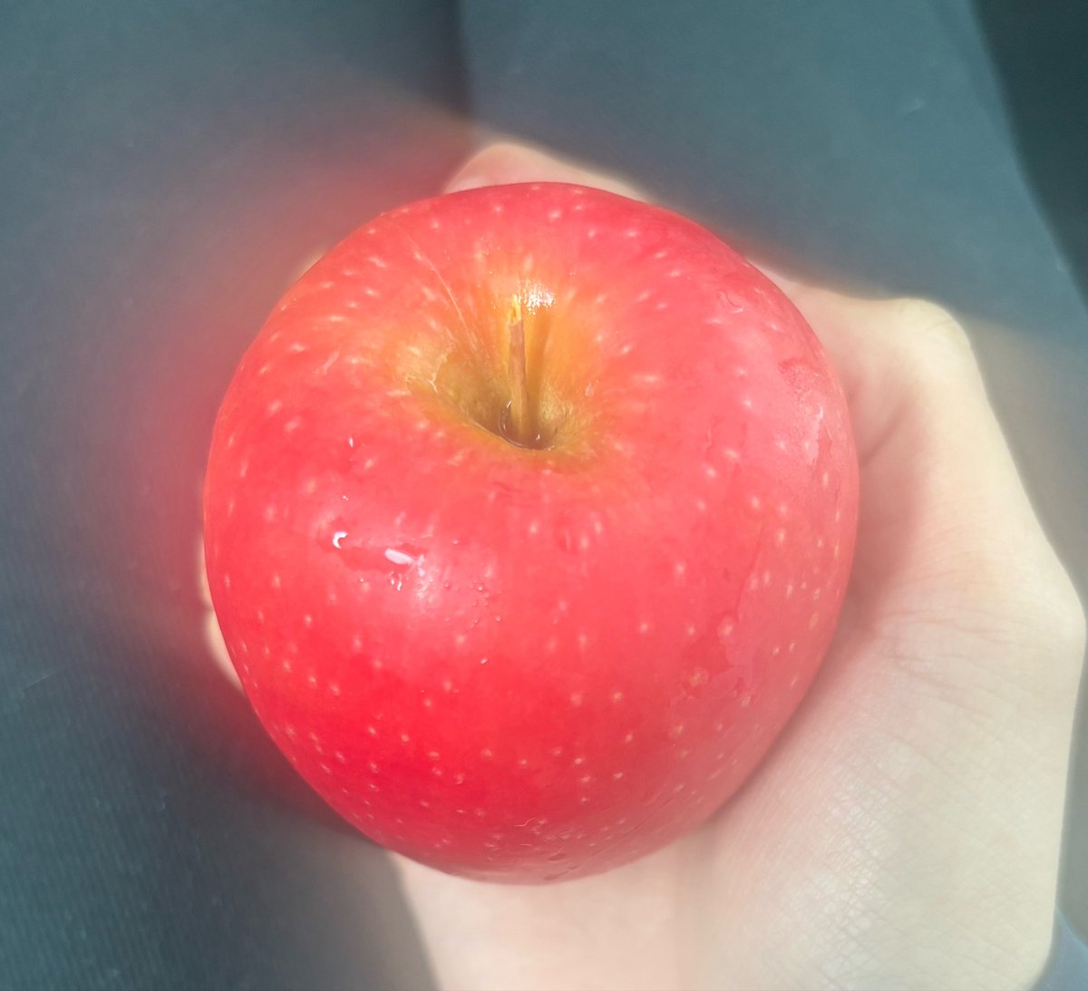 👑Javon tweet media