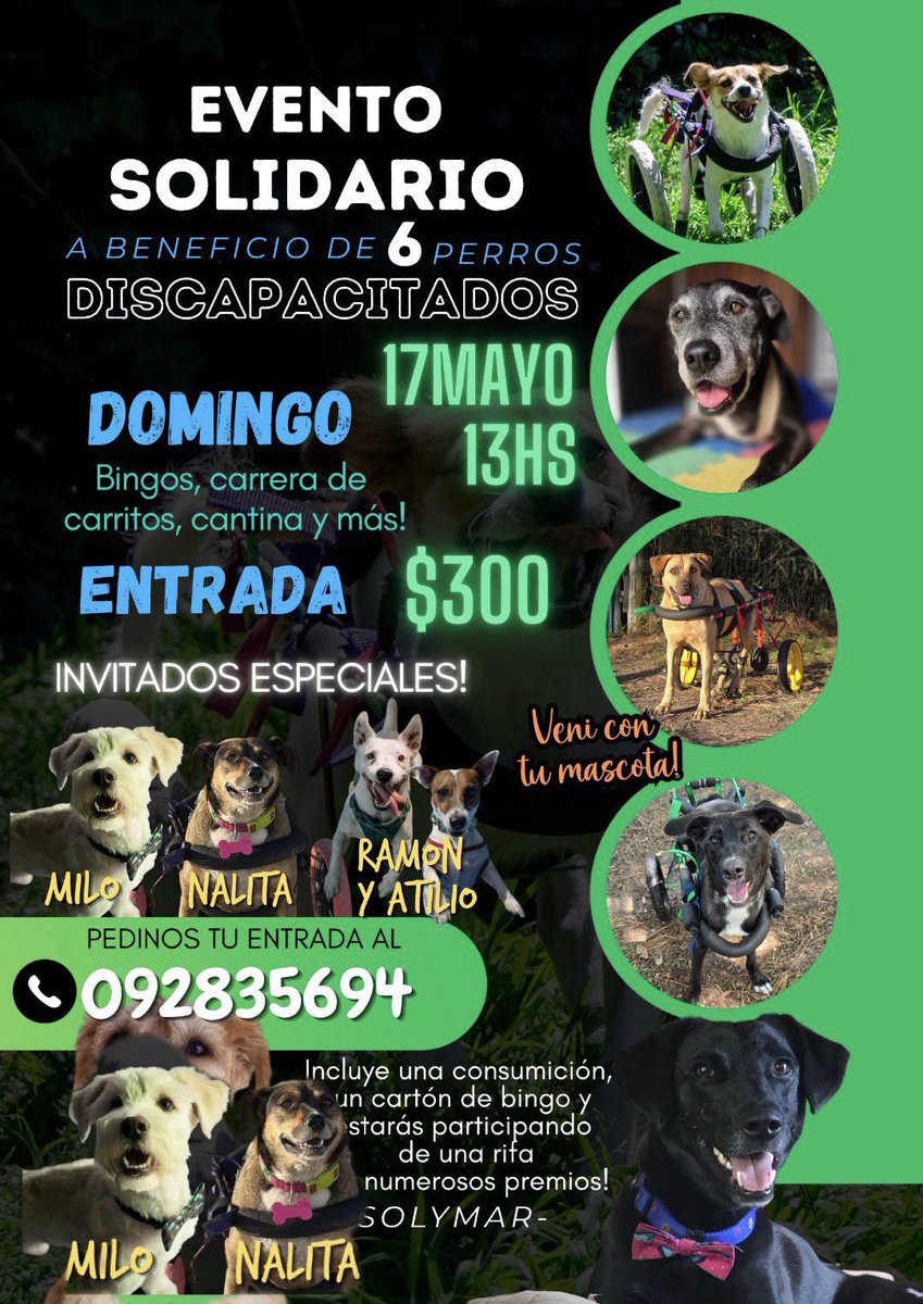 Josema Caraballo tweet media