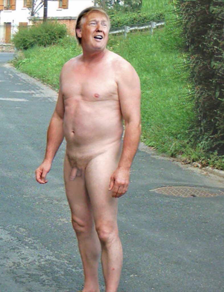 Dr. Doggy-Styles 🇺🇸 tweet media