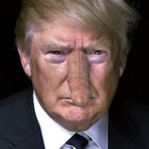 Dr. Doggy-Styles 🇺🇸 tweet media