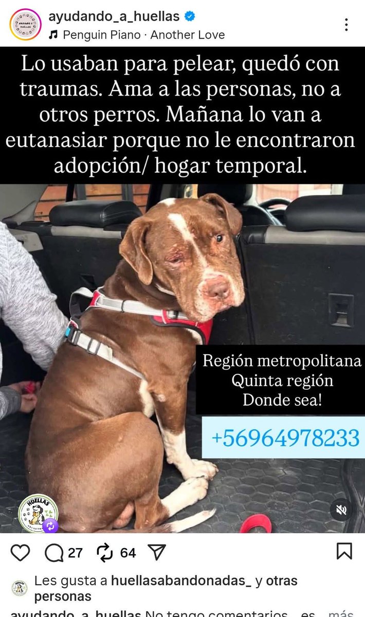Brenda Etchegaray tweet media
