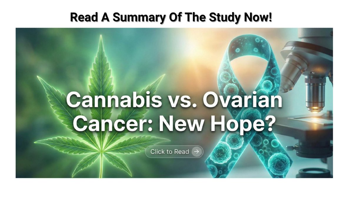 dbell_novus's tweet image. Take control of your ovarian health. Science is proving the power of cannabis in the fight against ovarian cancer. Read The Blog Here: f.mtr.cool/fdmmkzcvkr  #OvarianCancer #CannabinoidResearch #OncologyNews