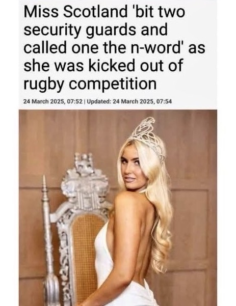 Declaration of Memes tweet media