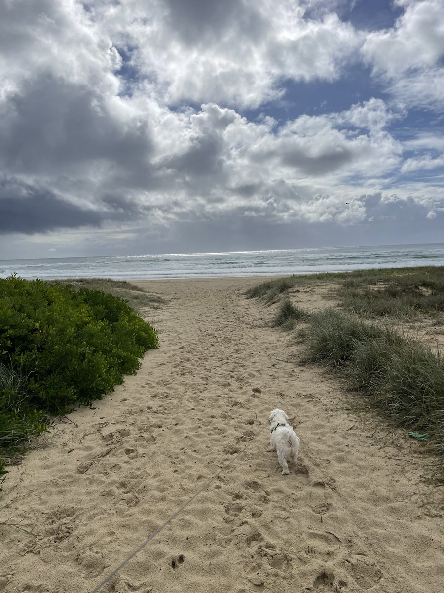 anniefitness's tweet image. It’s SO good to be home ❤️#beach #run