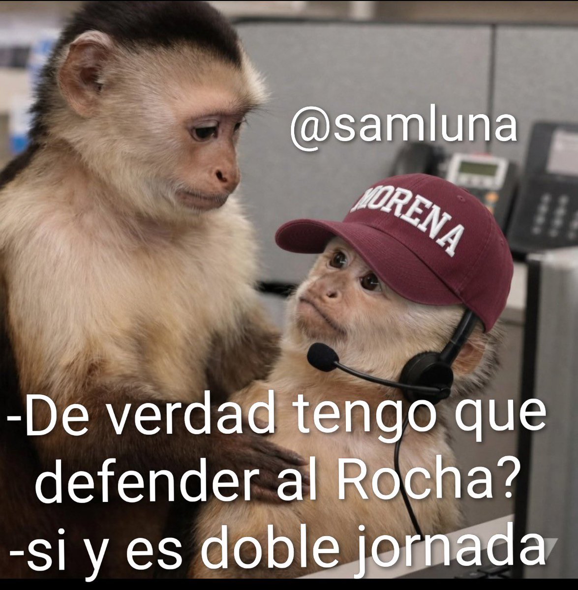 Luis A. Bernal tweet media