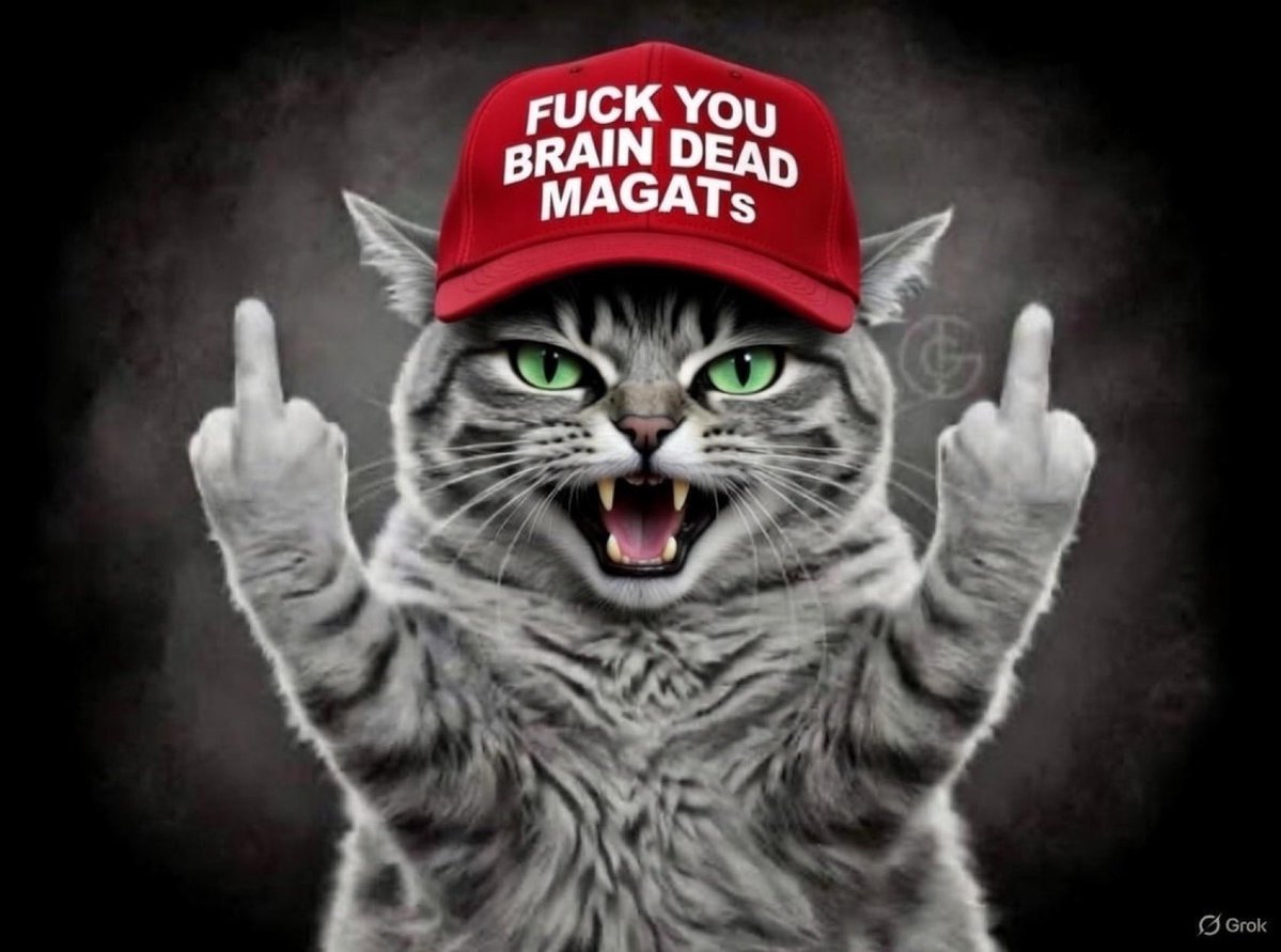 suzamaroo's tweet image. To you #MAGA twat waffles who keep slithering into my comments🖕