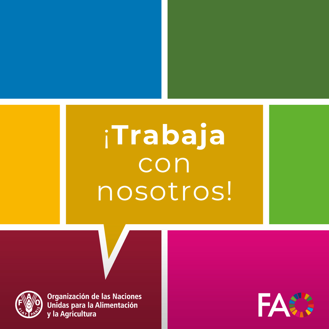 FAO Mesoamérica tweet media