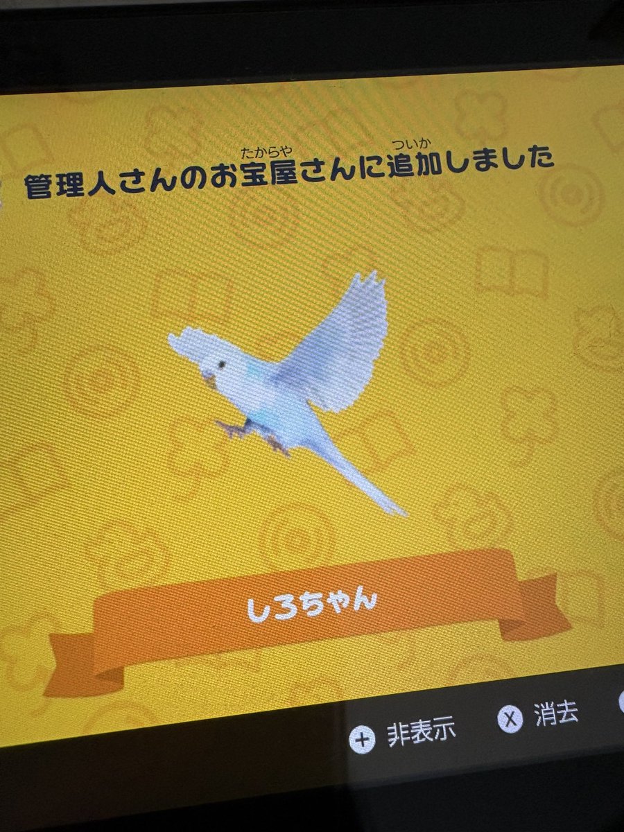 春星銀 tweet media