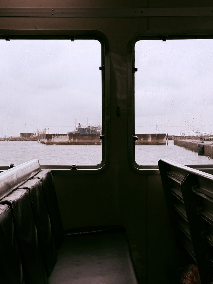 しのよしの✴︎志乃嘉乃🎠🥀 tweet media