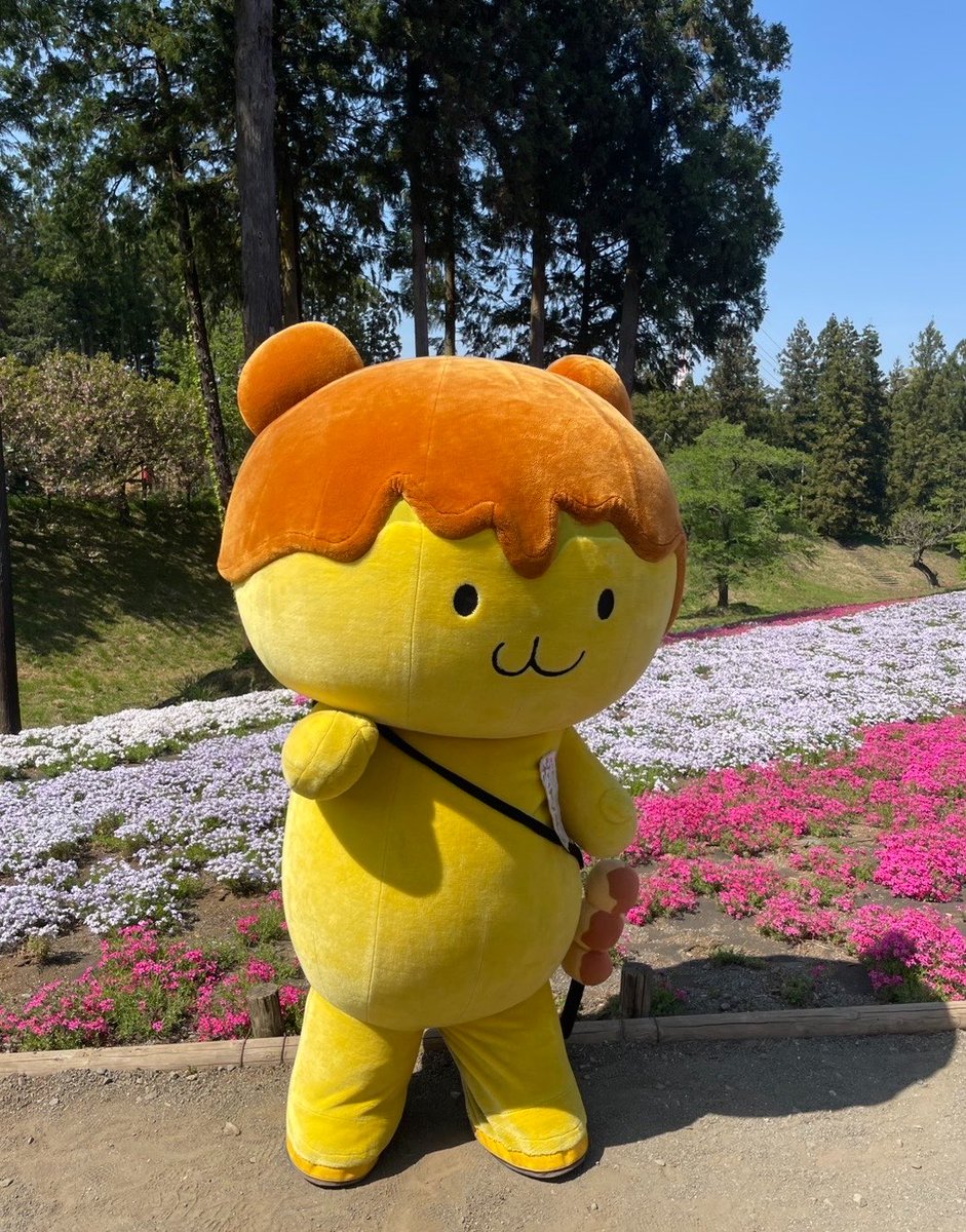 【公式】「ポテくまくん」(埼玉県秩父市) tweet media