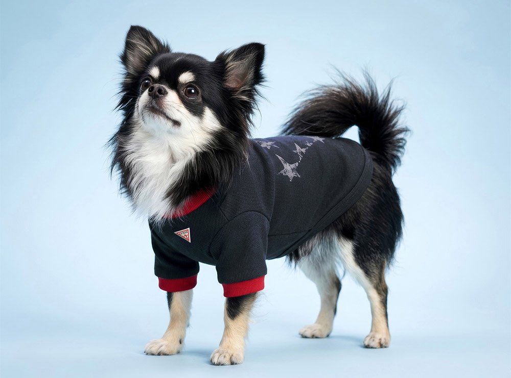 adri.🐈‍⬛ estrela do hyunjin tweet media