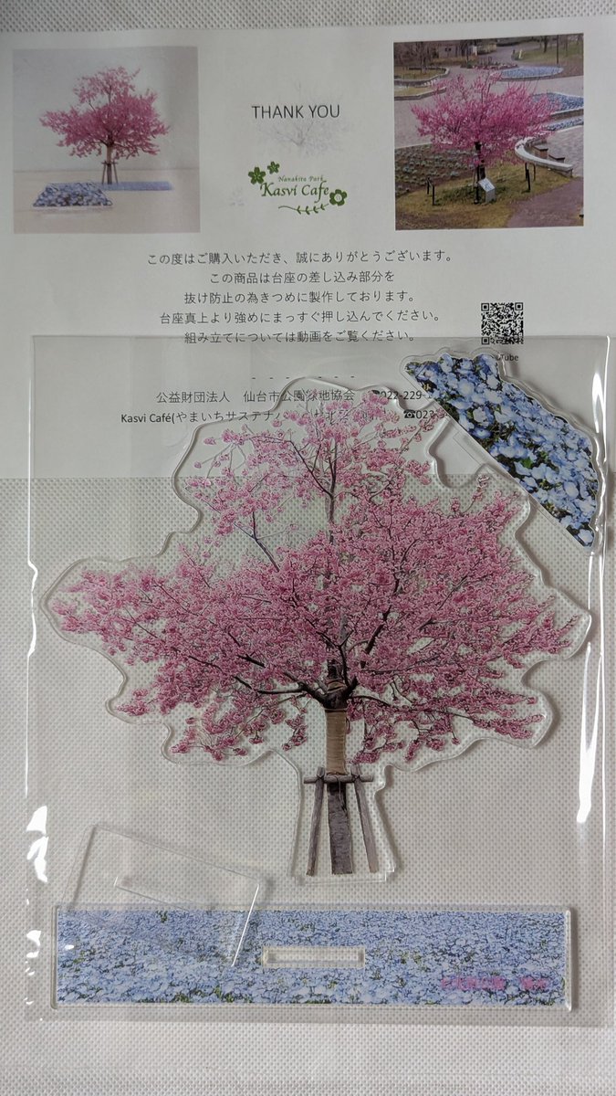 ゆづ桜のアクスタ到着🌸 今月11日に七北田公園に行ったときに本物の桜