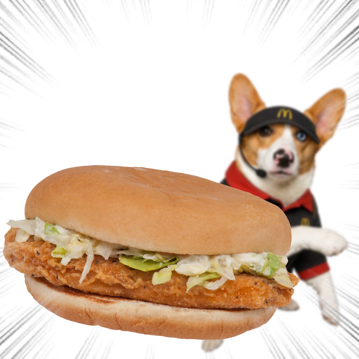 Throwing Things Daily tweet media