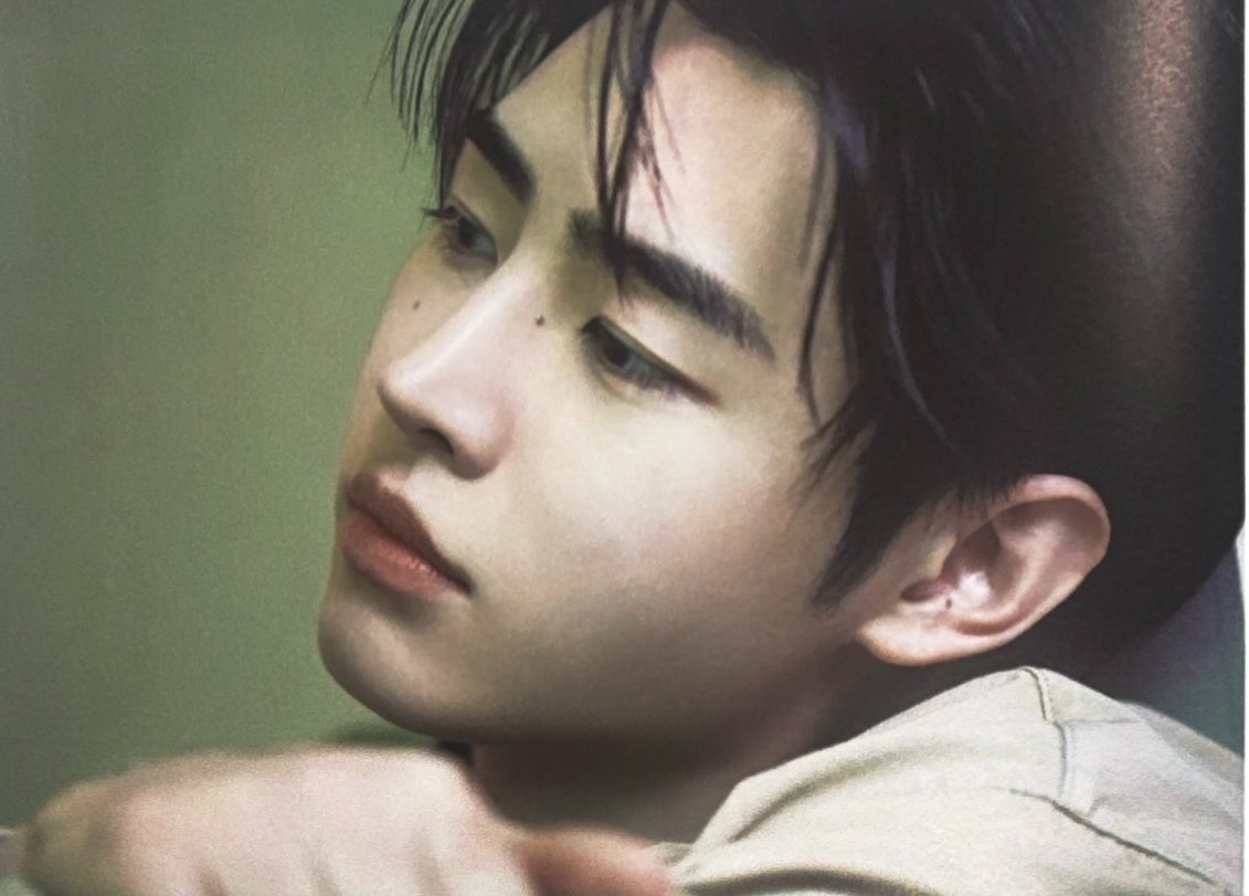 𐙚⋆°🦢｡⋆♡ tweet media