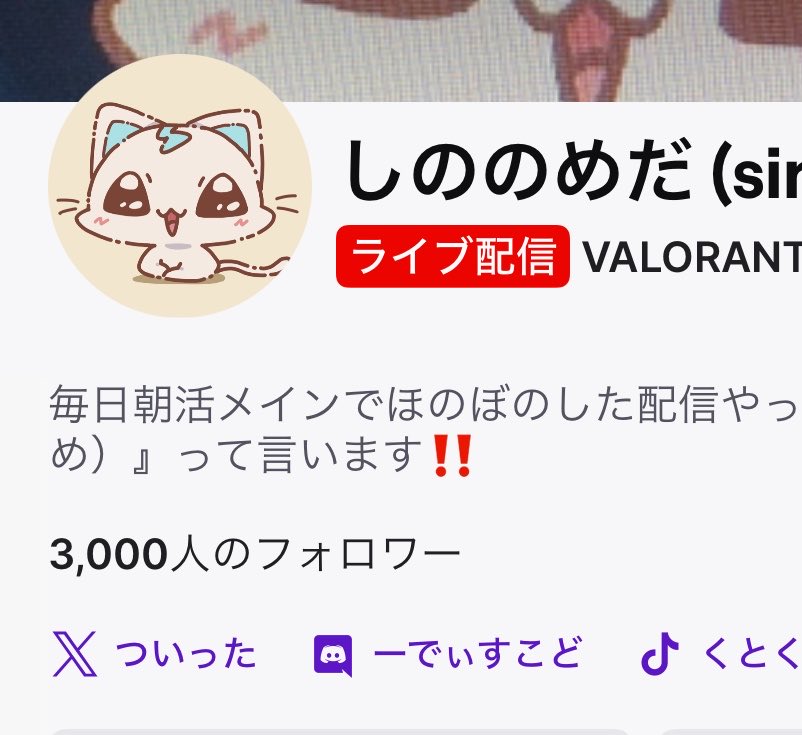 しののめだ🐾🩵 tweet media