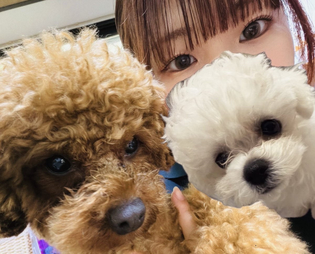 ぴょん‎ tweet media