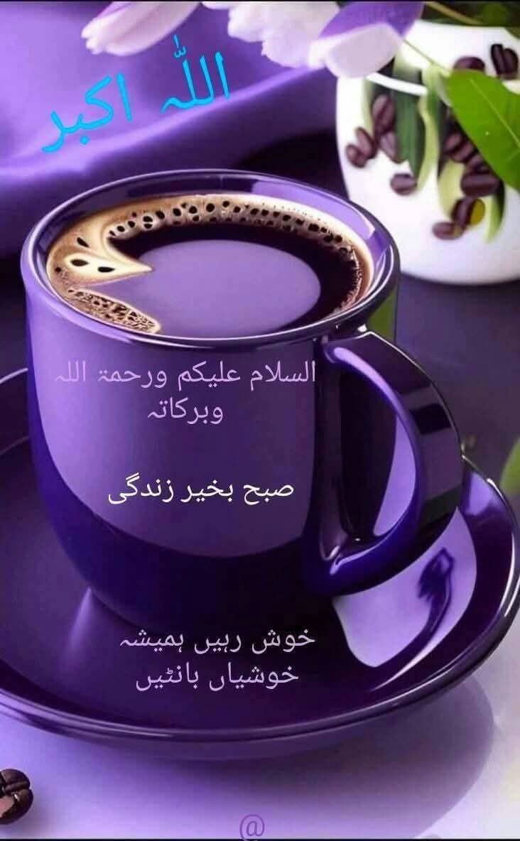 noorislam15362's tweet photo. السلام و علیکم 
         وقت   بخت  اور  تخت 
  ہمیشہ تبدیل ہوتے رہتے ہیں ان کو جو بھی 
  اپنی جاگیر سمجھے گا وہ دنیا کا سب سے بڑا 
  کم علم شخص ہو گا  صحت و سلامتی کی 
  دعاوں کے ساتھ     صبح بخیر https://t.co/ohTpW4DXT3