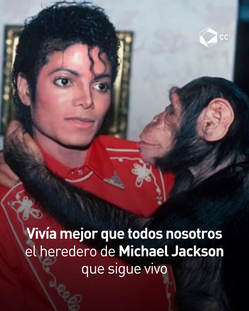 Cultura Colectiva tweet media