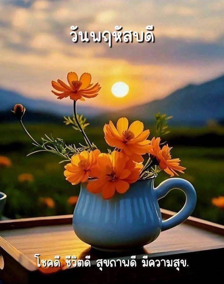 ดร.มะลิ อิงสุข tweet media