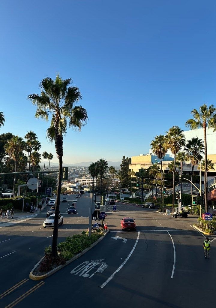 Prosepine's tweet photo. Missing those golden LA sunsets and the way the city always felt like a dream 🌴✨LA, you still live in my heart every street, every view, every little moment 💙Counting days until I’m back under that California sunshine ☀️
#traveldiary #sharingmemories https://t.co/8xxXnbb5tD