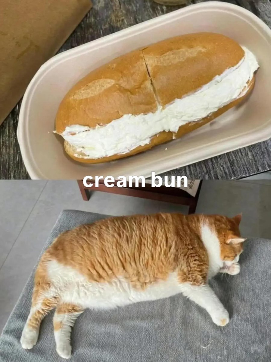 i like food tweet media