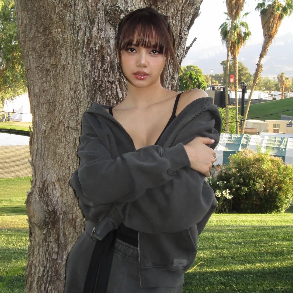 hourly lisa tweet media